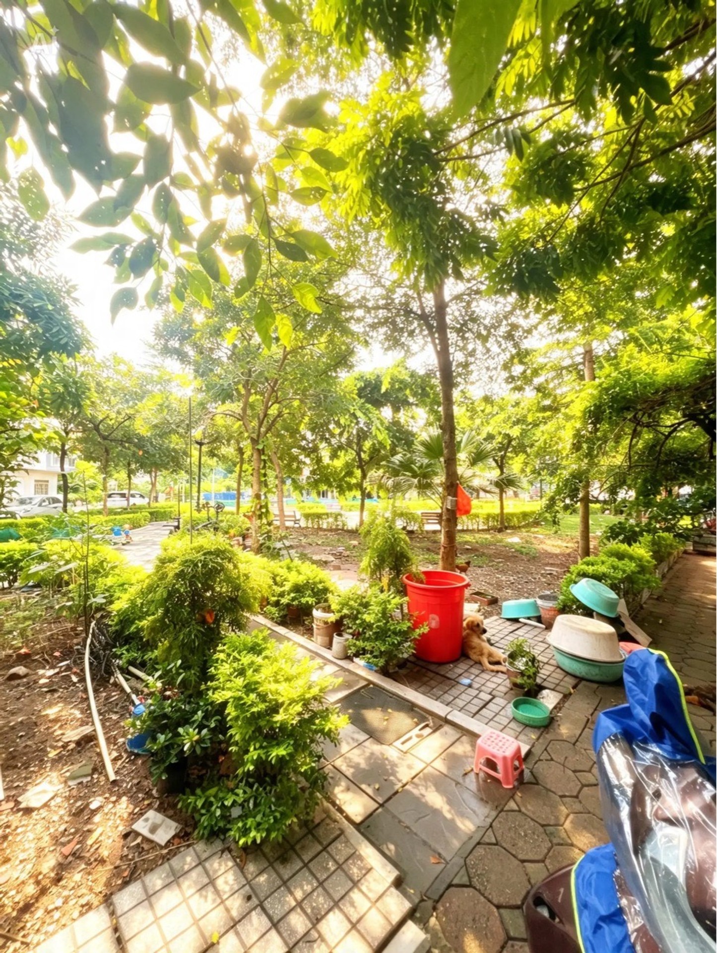 BÁN ĐẤT VIỆT HƯNG 60M2- MT 3.8m- VỈA HÈ, Ô TÔ TRÁNH- MẶT CÔNG VIÊN- 1X Tỷ