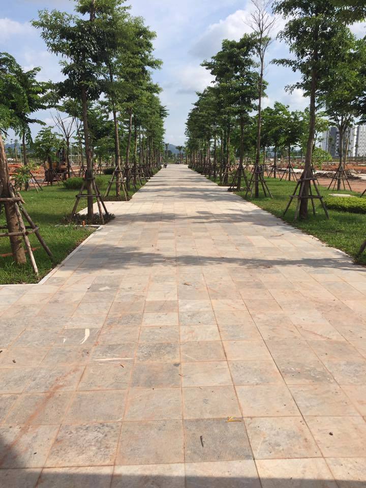 Dự án đang trong quá trình hoàn thiện