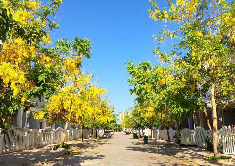 Hình ảnh thực tế dự án