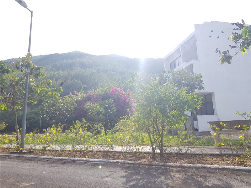 Hình ảnh thực tế dự án