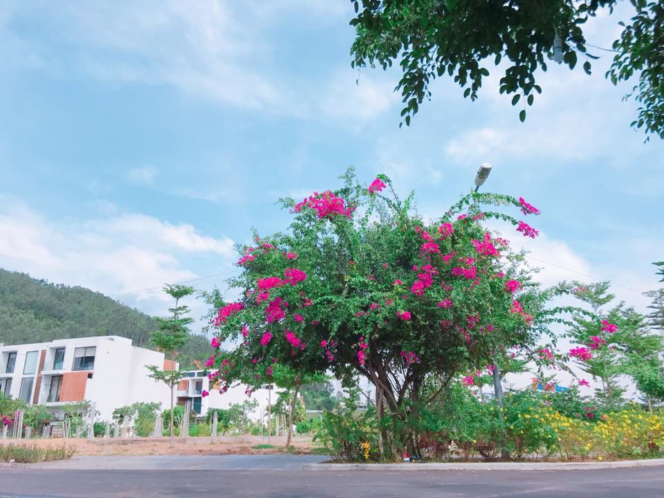 Dự án đã hoàn thiện cơ sở hạ tầng, khách hàng sẽ được bàn giao nền ngay để xây dựng