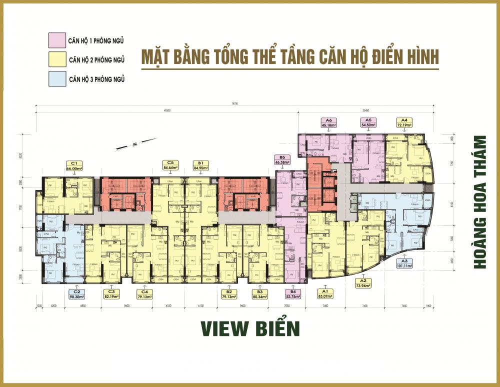 Tầng điển hình