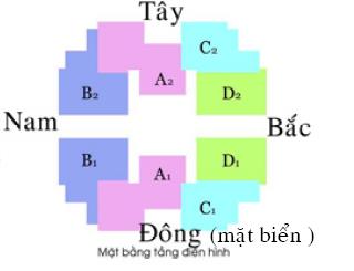 Tầng điển hình