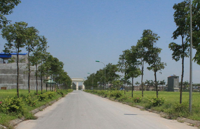 Hệ thống cây xanh, điện, đường đã được hoàn thiện