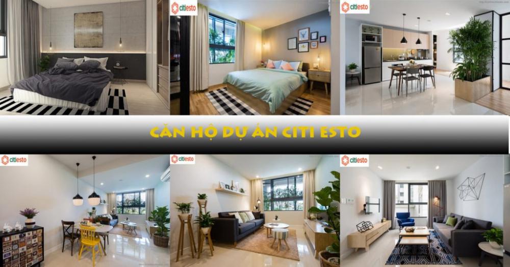 Căn hộ Citi Esto 3