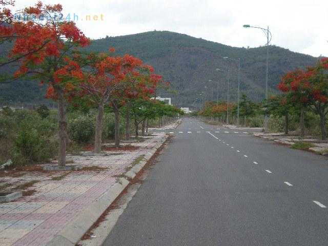 Dự án đã hoàn thiện hạ tầng