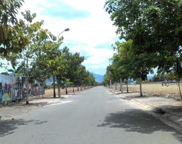 Hình ảnh thực tế dự án