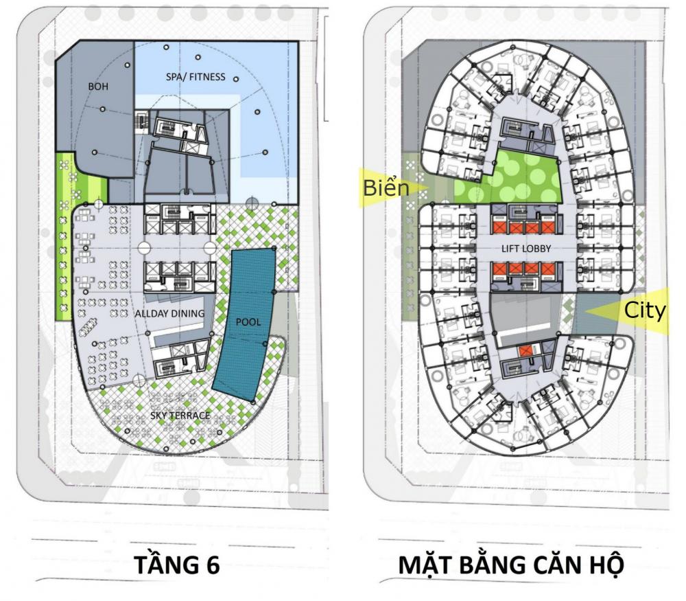 Tầng 1-6