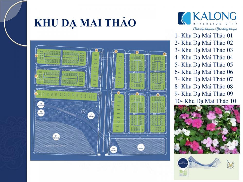 Dạ Mai Thảo