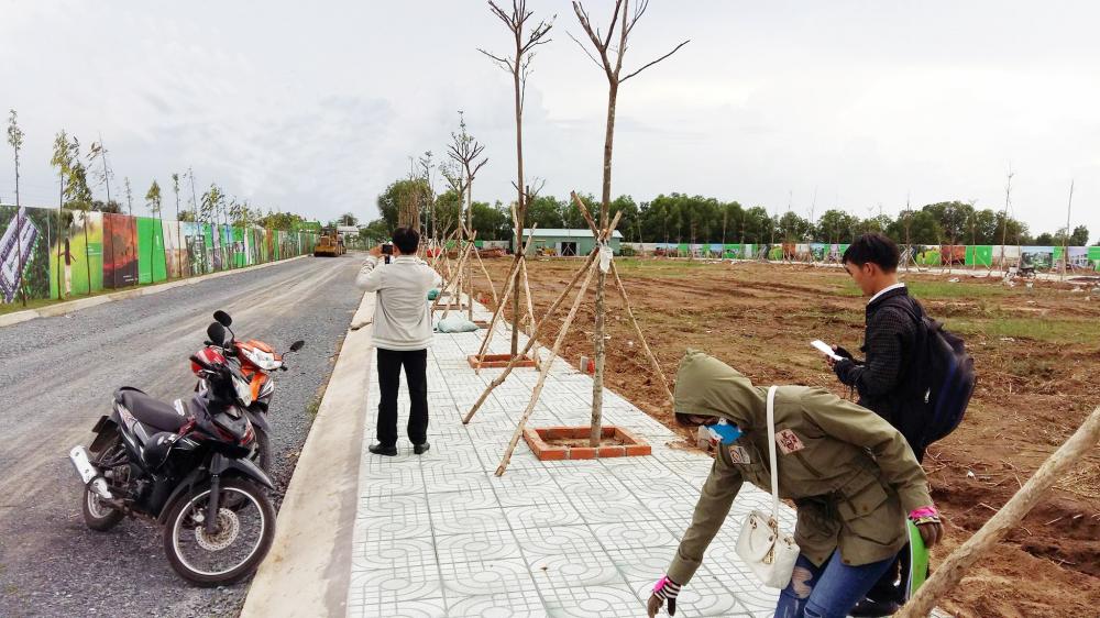Dự án đang thi công hạ tầng