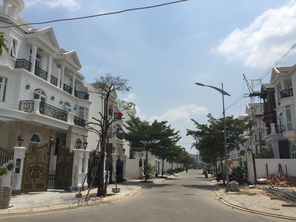 Hình ảnh thực tế dự án