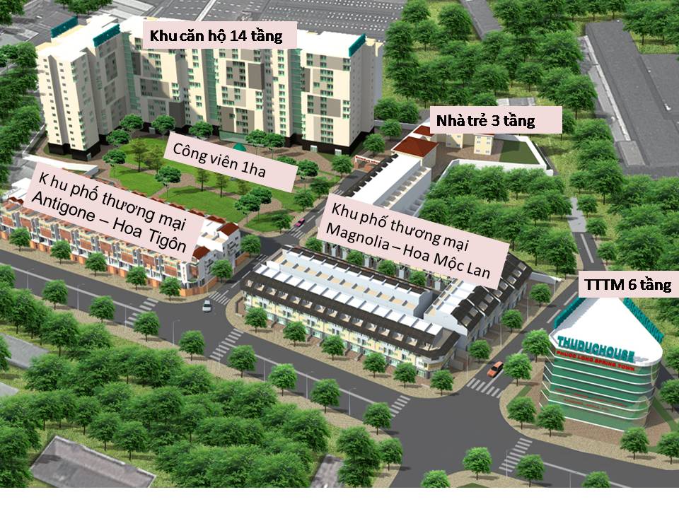 Chi tiết dự án