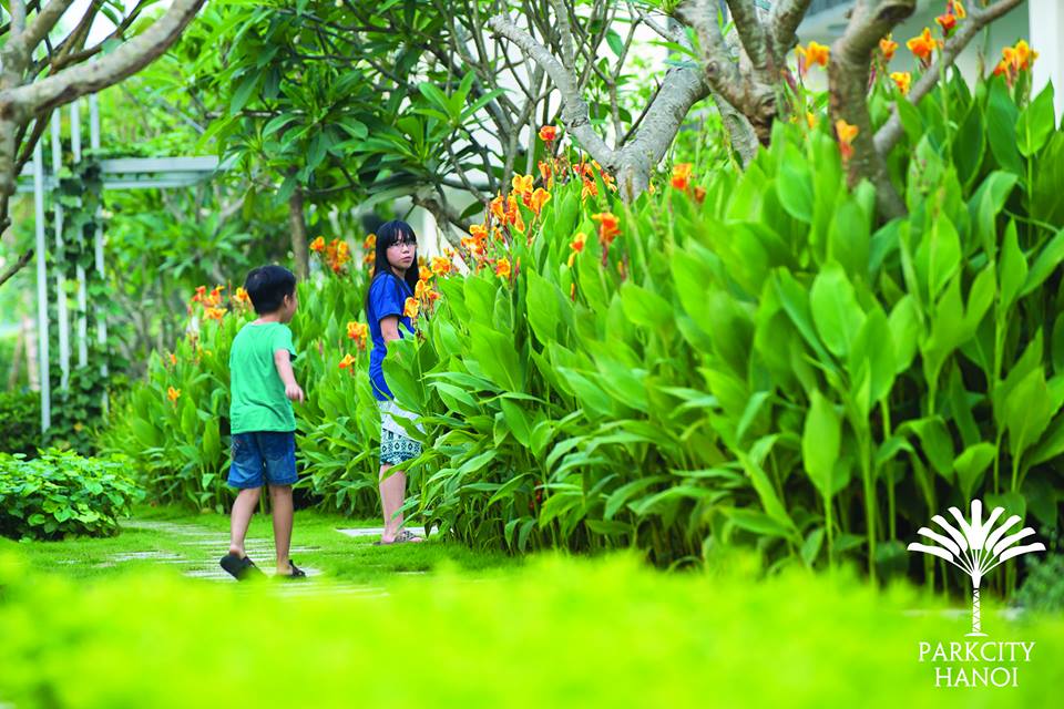 Dự án đã hoàn thiện và đưa vào sử dụng