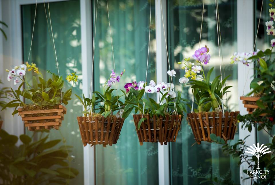 Dự án đã hoàn thiện và đưa vào sử dụng