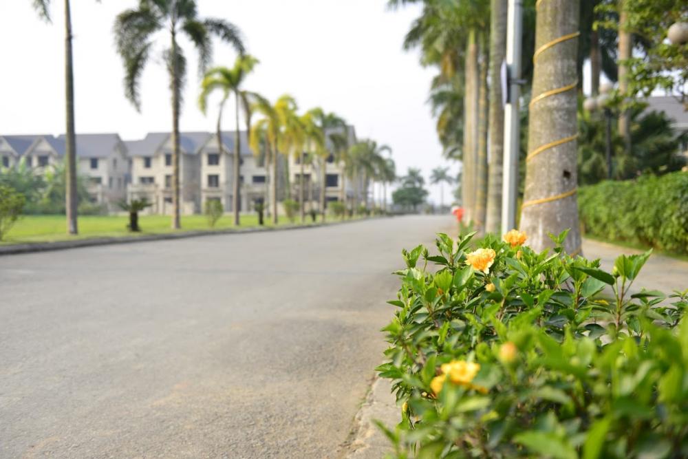 Hình ảnh thực tế dự án