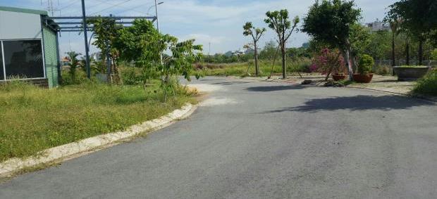 Hình ảnh thực tế dự án