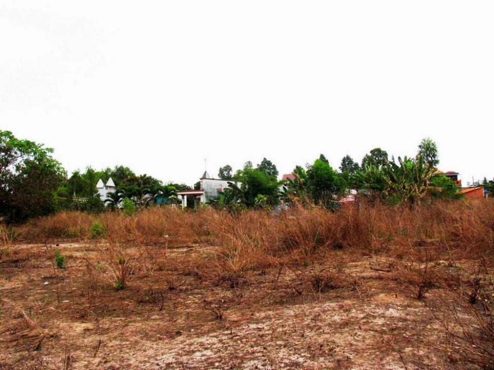 Hình ảnh thực tế dự án