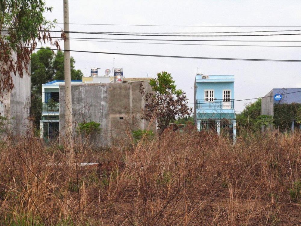 Hình ảnh thực tế dự án