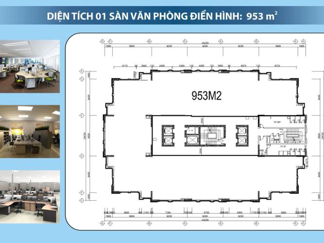 Tầng điển hình