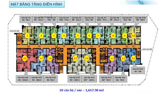 Tầng điển hình