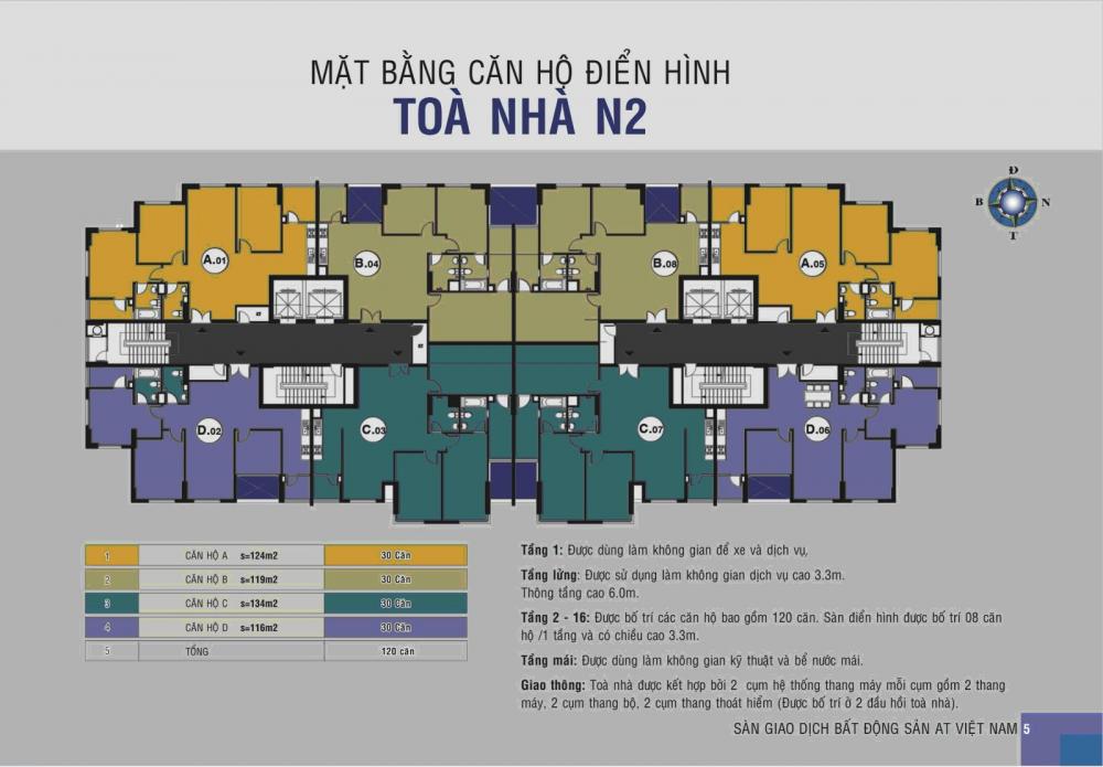 Tầng điển hình N2