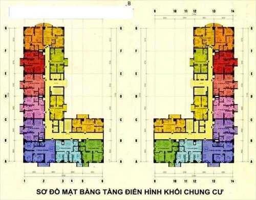 Tầng điển hình