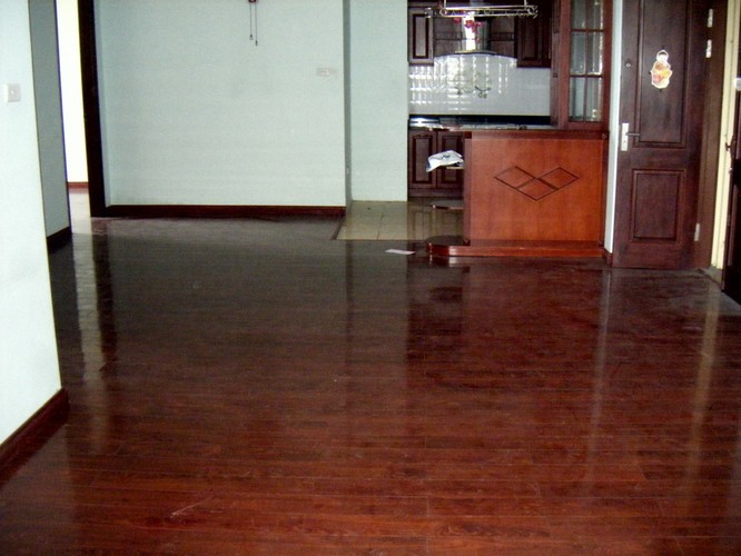 Căn hộ 229 Phố Vọng